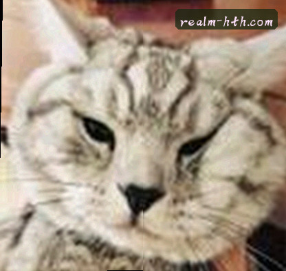 钱慧